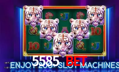 5585 bet login